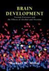 Brain Development : Normal Processes and the Effects of Alcohol and Nicotine - Book