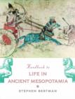 Handbook to Life in Ancient Mesopotamia - Book