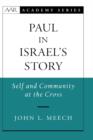 Paul in Israel's Story : Self and Community at the Cross - Book
