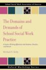 The Domains and Demands of School Social Work Practice : A Guide to Working Effectively with Students, Families and Schools - Book