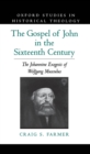 The Gospel of John in the Sixteenth Century : The Johannine Exegesis of Wolfgang Musculus - eBook
