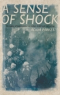 A Sense of Shock : The Impact of Impressionism on Modern British and Irish Writing - Book