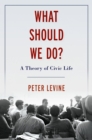 What Should We Do? : A Theory of Civic Life - eBook