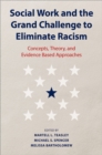 Social Work and the Grand Challenge to Eliminate Racism : Concepts, Theory, and Evidence Based Approaches - eBook