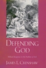 Defending God : Biblical Responses to the Problem of Evil - eBook