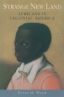 Strange New Land : Africans in Colonial America - eBook