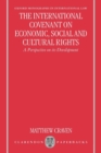 The International Covenant on Economic, Social and Cultural Rights : A Perspective on its Development - Book