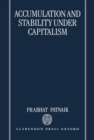 Accumulation and Stability under Capitalism - Book