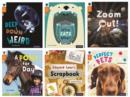Oxford Reading Tree inFact: Level 6: Class Pack of 36 - Book