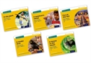 Read Write Inc. Phonics: Yellow Set 5 Non-fiction books (Mixed Pack of 5) - Book
