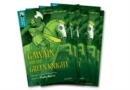 Oxford Reading Tree TreeTops Greatest Stories: Oxford Level 16: Gawain and the Green Knight Pack 6 - Book