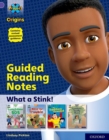 Project X Origins: Purple Book Band, Oxford Level 8: What a Stink!: Guided reading notes - Book