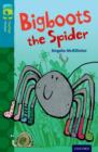 Oxford Reading Tree TreeTops Fiction: Level 9 More Pack A: Bigboots the Spider - Book