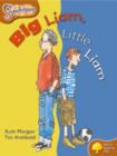 Oxford Reading Tree: Level 8: Snapdragons: Big Liam, Little Liam - Book