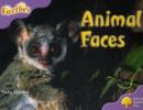 Oxford Reading Tree: Level 1+: More Fireflies A: Animal Faces - Book