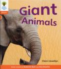 Oxford Reading Tree: Level 6: Floppy's Phonics Non-Fiction: Giant Animals - Book
