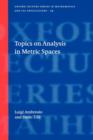 Topics on Analysis in Metric Spaces - Book