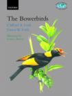 The Bowerbirds : Ptilonorhynchidae - Book