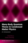 Many-Body Quantum Theory in Condensed Matter Physics : An Introduction - Book