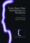 From Basic Pain Mechanisms to Headache - Book