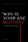 'Why is your axe bloody?' : A Reading of Njals Saga - Book