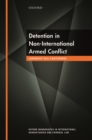 Detention in Non-International Armed Conflict - Book