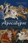Picturing the Apocalypse : The Book of Revelation in the Arts over Two Millennia - Book