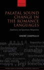 Palatal Sound Change in the Romance Languages : Diachronic and Synchronic Perspectives - Book