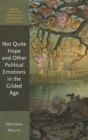 Not Quite Hope and Other Political Emotions in the Gilded Age - Book