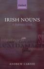 Irish Nouns : A Reference Guide - Book