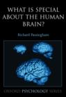 What is special about the human brain? - Book
