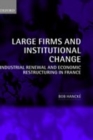 Large Firms and Institutional Change : Industrial Renewal and Economic Restructuring in France - Book