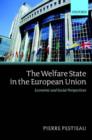 The Welfare State in the European Union : Economic and Social Perspectives - Book