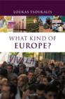 What Kind of Europe? - Book