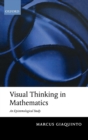 Visual Thinking in Mathematics - Book