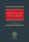 Experts in the Civil Courts - Book