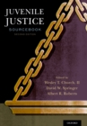 Juvenile Justice Sourcebook - eBook