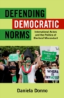 Defending Democratic Norms : International Actors and the Politics of Electoral Misconduct - eBook