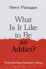 What Is It Like to Be an Addict? : Understanding Substance Abuse - Book