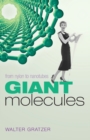 Giant Molecules : From nylon to nanotubes - Book