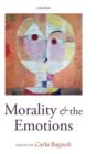 Morality and the Emotions - Book