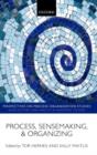 Process, Sensemaking, and Organizing - Book