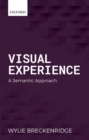 Visual Experience : A Semantic Approach - Book