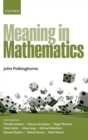 Meaning in Mathematics - Book