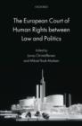 The European Court of Human Rights between Law and Politics - Book