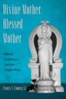 Divine Mother, Blessed Mother : Hindu Goddesses and the Virgin Mary - Book