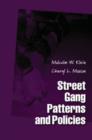 Street Gang Patterns and Policies - Book