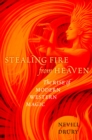 Stealing Fire from Heaven : The Rise of Modern Western Magic - eBook