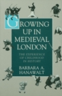 The Formation of the Babylonian Talmud - Barbara A. Hanawalt