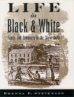 Life in Black and White : Family and Community in the Slave South - Brenda E. Stevenson